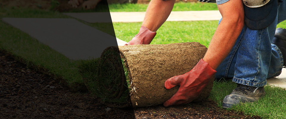 Pelican Rapids Landscapers